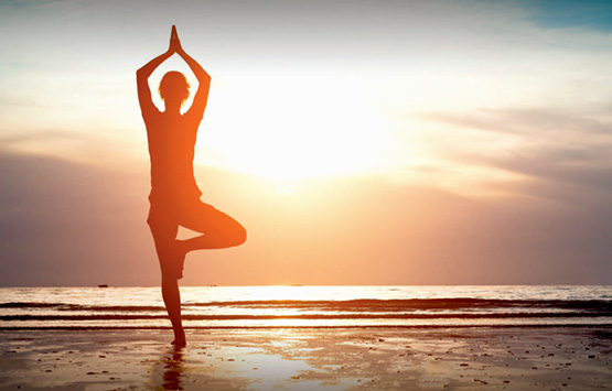 Отель Carnoustie Ayurveda & Wellness Resort 5*, Индия Отель Carnoustie Ayurveda & Wellness Resort 5*, Индия